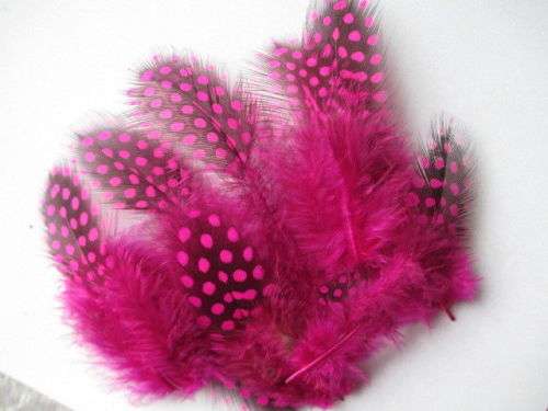 10PCS Beautiful Dotted Guinea Fowl Feathers for Nail Art & Craft