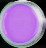 SOLID COLOR UV GEL FOR NAIL ART TIPS 8 ml