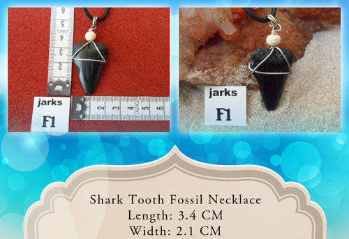 Shark tooth necklace (fossil) - rare