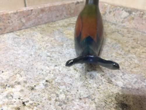 Set of Limited Edition 'Feathers' African Collection Lilac Breasted Roller Birds