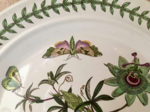 Set of 3 Port Meirion The Botanic Garden Wall Plates