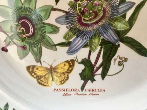 Set of 3 Port Meirion The Botanic Garden Wall Plates