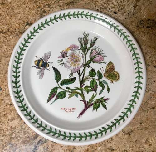 Set of 3 Port Meirion The Botanic Garden Wall Plates