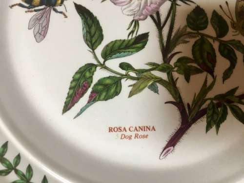 Set of 3 Port Meirion The Botanic Garden Wall Plates