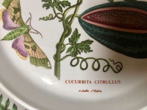 Set of 3 Port Meirion The Botanic Garden Wall Plates