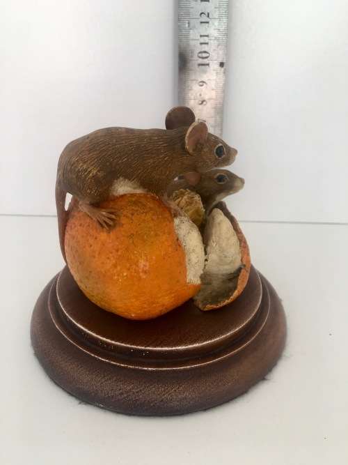 Country Collection of Knysna - Mice with Naartjies - 804/5000