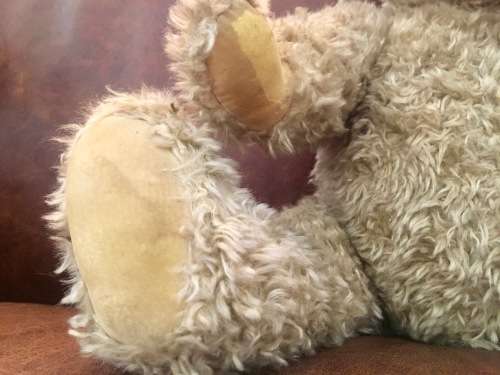 Hamleys Teddy Bear