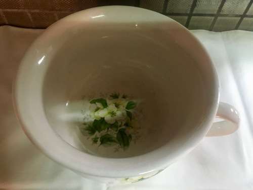 Portmeirion Vintage Chamber Pot Shaped Planter