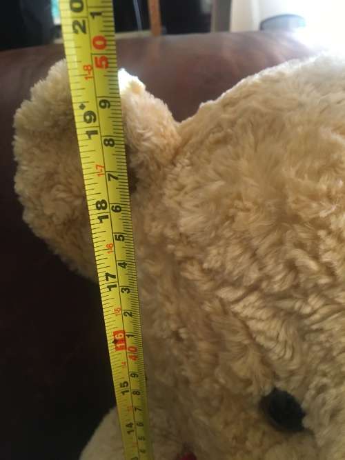 Cuddly & Huggable Large Russ Bear Spencer