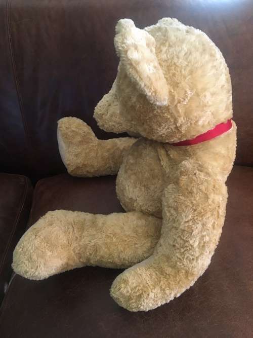Cuddly & Huggable Large Russ Bear Spencer