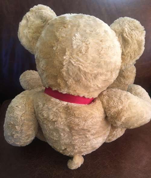 Cuddly & Huggable Large Russ Bear Spencer