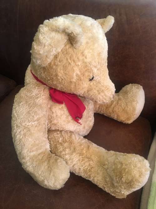 Cuddly & Huggable Large Russ Bear Spencer