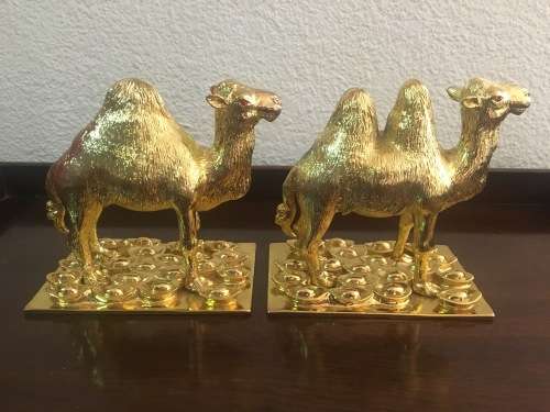 A Pair of Golden `World of Feng Shui` Camels