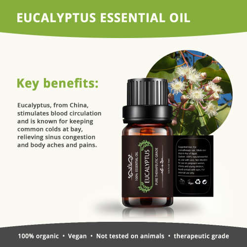 Essential oils - Essential oil set of 6
