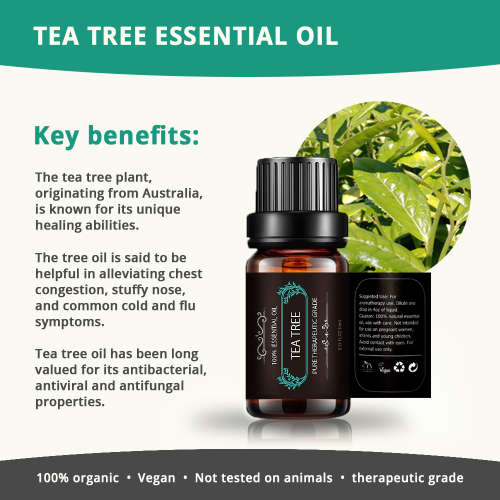 Essential oils - Essential oil set of 6