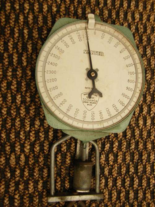 3000 pound hanging scale for sale.
