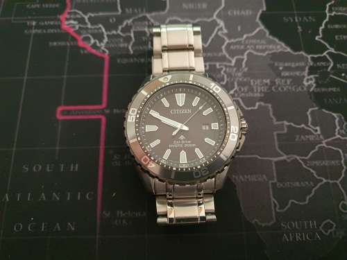 Citizen Promaster Diver`s Watch