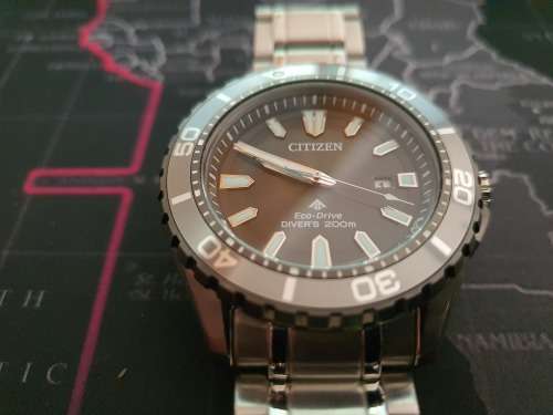 Citizen Promaster Diver`s Watch