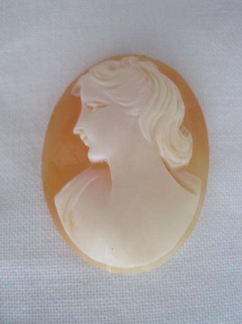 SHELL CAMEO