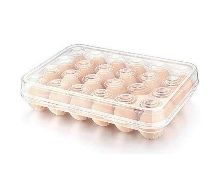 Plastic Egg Tray - 24 Eggs