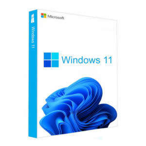 Windows 11 Professional