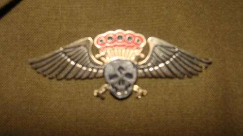 44 Para Test jumpers wings