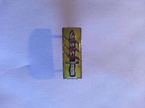 61 Mech Mess Dress Operations Participation Badge