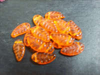 Orange Indian Leaf Drops, Pack of 10.