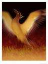 6235 FIRE-POLISHED BICONE, GLASS, SEMI-PRECIOUS, SHELL, FINDINGS AND MORE....