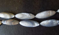 Spring Fever!! Grey Shell Ovals, 30mm x 11mm  - Pack of 5.