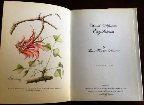 South African Erythrinas by Esme Franklin Hennessy