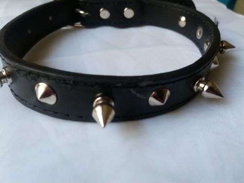 Dog Collar with studs