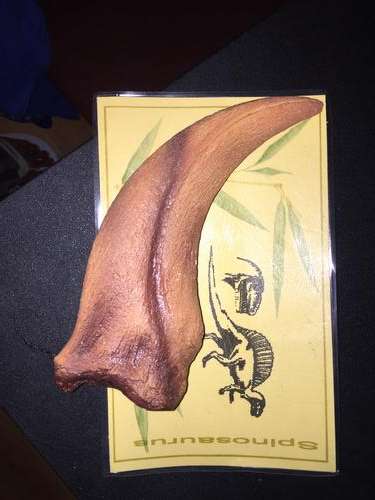 Spinosaurus Dinosaur full dinosaur claw cast