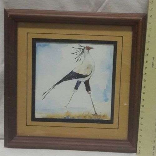 Framed Secretary bird print