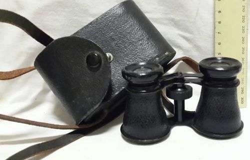 Vintage binoculars with carry case