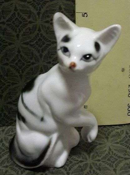 Cat - so cute