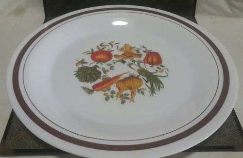 Arcopal France big plates x 4!