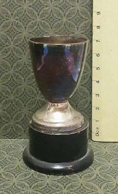 Silver plate trophy