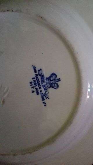 Big beautiful blue plate
