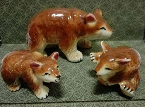 Bear family