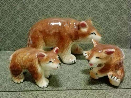 Bear family