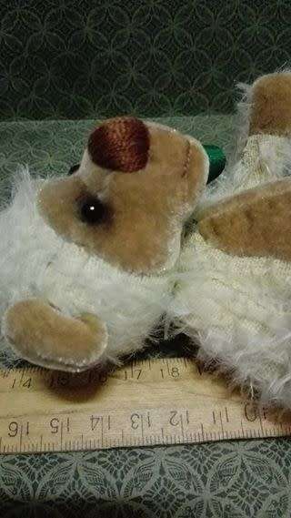 Pretty little bear