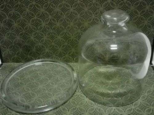Small domes for a flower/air plant/butter
