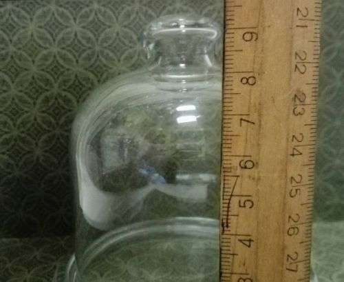 Small domes for a flower/air plant/butter
