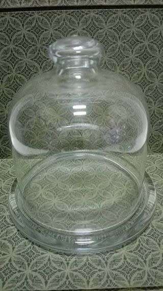 Small domes for a flower/air plant/butter