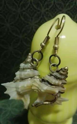 Lovely shell earrings!!