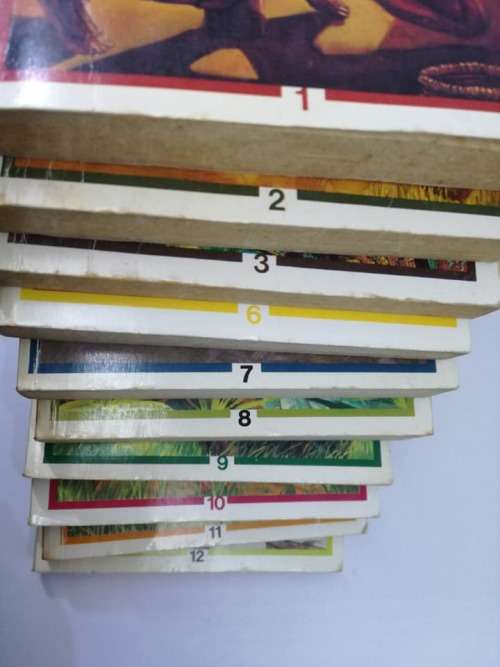 10 Tarzan sagteband boeke