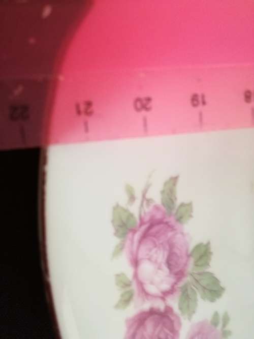 Bavaria Rose plate