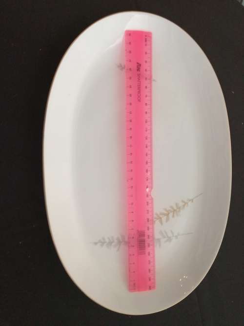 HUTSCHENREUTHER - BAVARIA - GERMANY : Oval serving plate