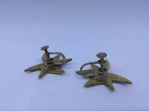Vintage Abalone screw on earrings - made in Mexico